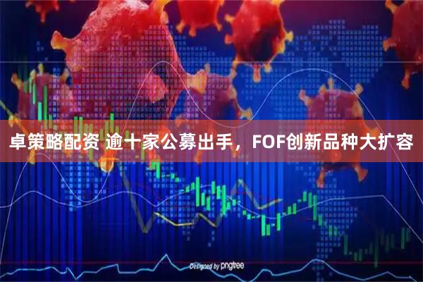 卓策略配资 逾十家公募出手，FOF创新品种大扩容