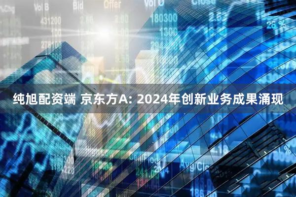纯旭配资端 京东方A: 2024年创新业务成果涌现